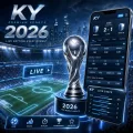 2026世界杯直播赛事全链路导航：从小组赛到决赛的观赛入口与平台优选指南