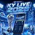 2026世界杯官方数字生态全览：官方网站、赛程追踪与多终端观赛入口一站式导航